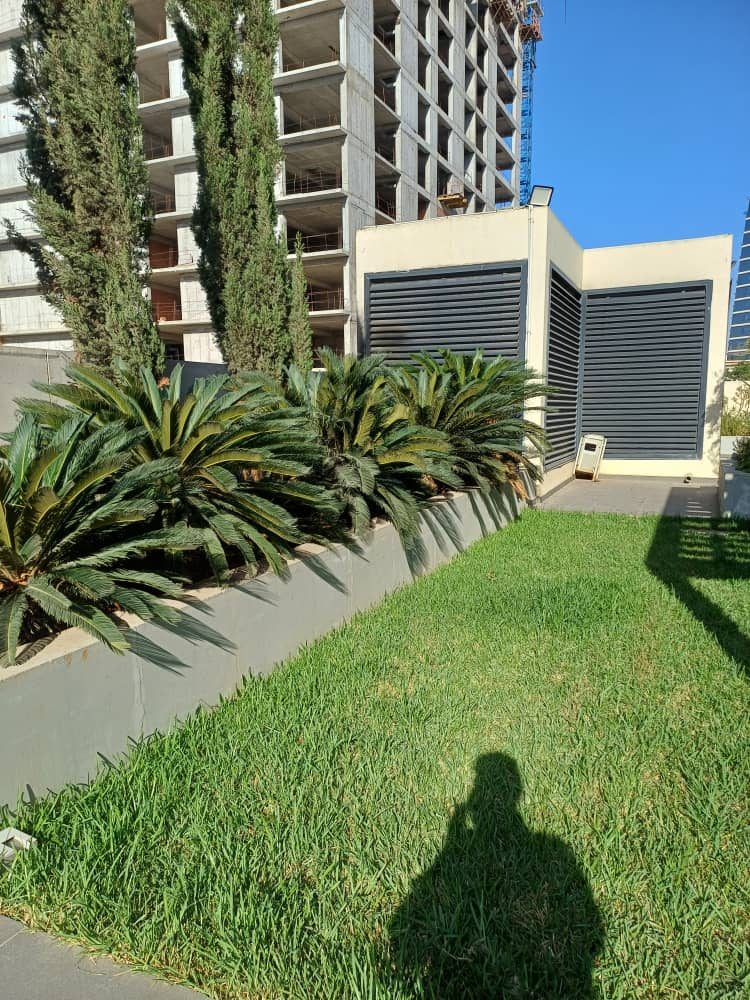 Terrasse autoprotégée Banque Nationale d'Algérie
